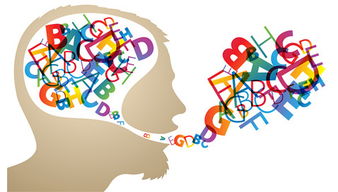 英語沙龍綜合課程