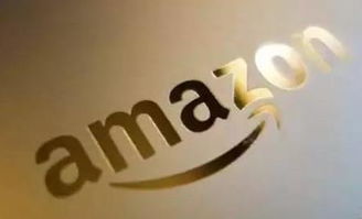 電商軟件亞馬遜無貨源erp貼牌定制,獨(dú)立部署定制,包教會,