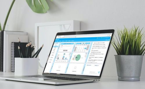 erp軟件開發(fā)定做有必要嗎
