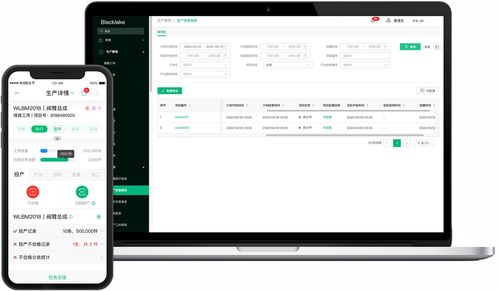 erp和mes之間如何系統(tǒng),如何提升兼容,減少重復(fù)建設(shè) csdn博客