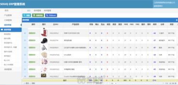 南昌oa crm erp等企業(yè)軟件專業(yè)定制開發(fā) 南昌網(wǎng)站制作