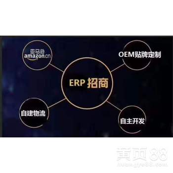 【跨境電商無貨源店群、亞馬遜erp系統代理定制】-