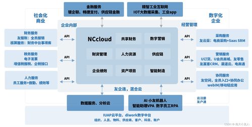 企業級bi應用與實踐2 用友erp 以nc系列產品為例