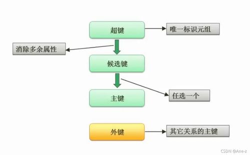 軟件設計師視角下的企業業務系統定制 聚焦數據庫系統設計與實現