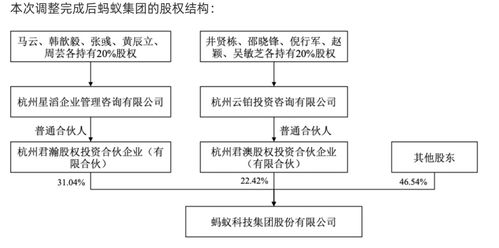 無實際控制人對支付寶的影響與業務系統定制戰略